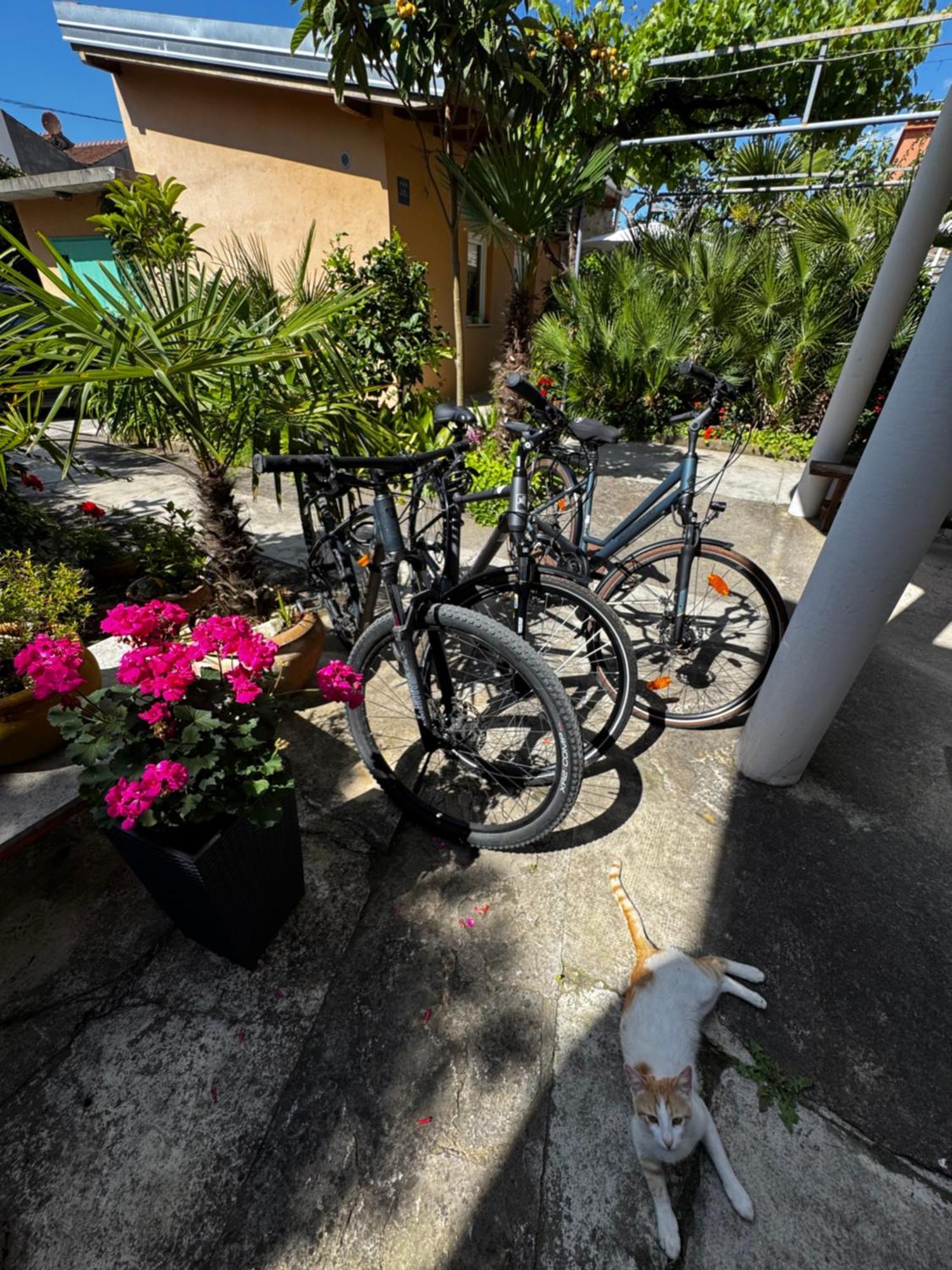 Eleonora Apartments Zadar Luaran gambar